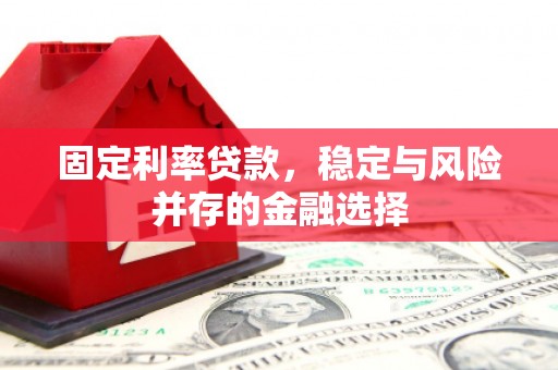 南华固定利率贷款，稳定与风险并存的金融选择