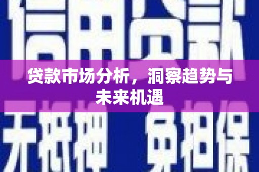 南华贷款市场分析，洞察趋势与未来机遇