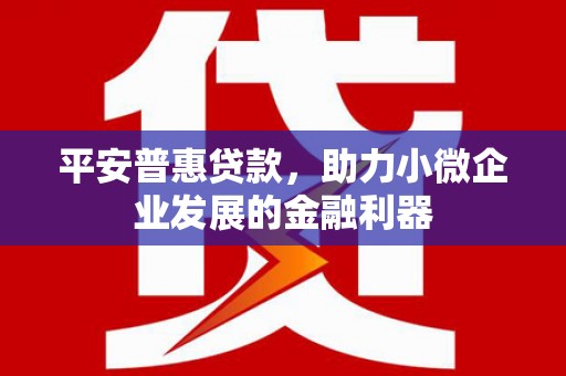 南华平安普惠贷款，助力小微企业发展的金融利器