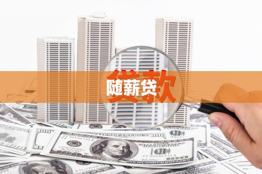 南华随薪贷