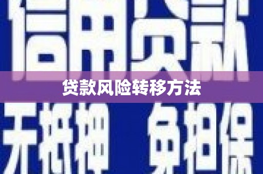 南华贷款风险转移方法