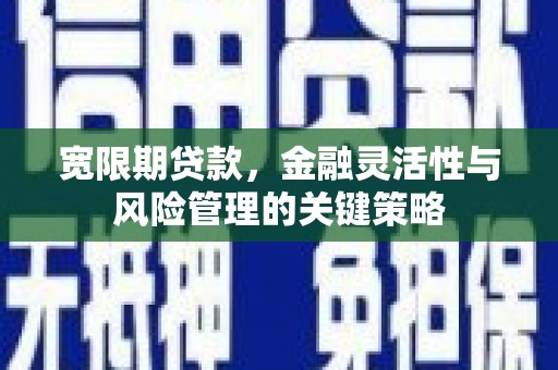 南华宽限期贷款，金融灵活性与风险管理的关键策略