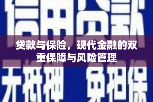 南华贷款与保险，现代金融的双重保障与风险管理