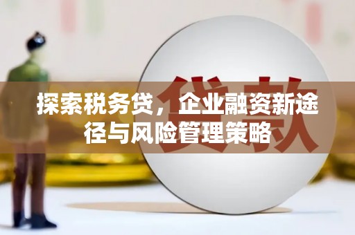 南华探索税务贷，企业融资新途径与风险管理策略