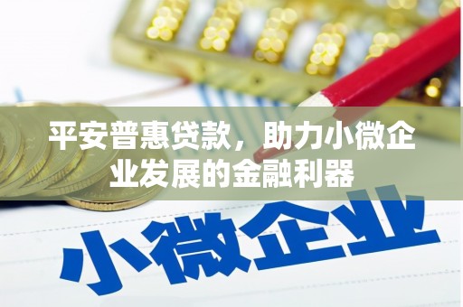 南华平安普惠贷款，助力小微企业发展的金融利器