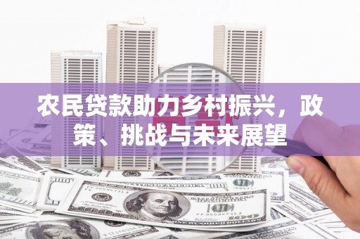 南华农民贷款助力乡村振兴，政策、挑战与未来展望