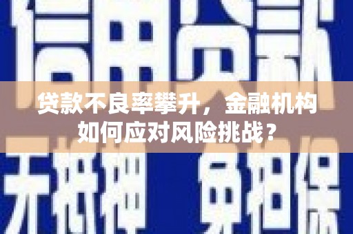 南华贷款不良率攀升，金融机构如何应对风险挑战？