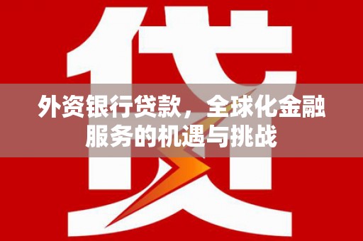南华外资银行贷款，全球化金融服务的机遇与挑战
