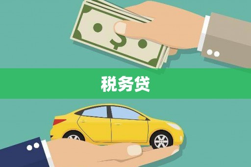 南华税务贷
