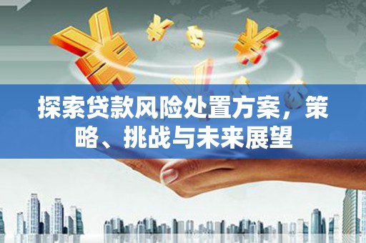 南华探索贷款风险处置方案，策略、挑战与未来展望