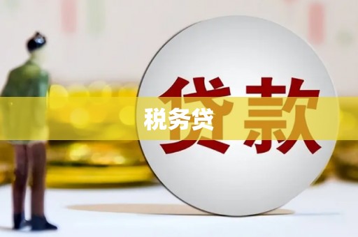 南华税务贷