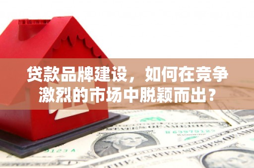 南华贷款品牌建设，如何在竞争激烈的市场中脱颖而出？
