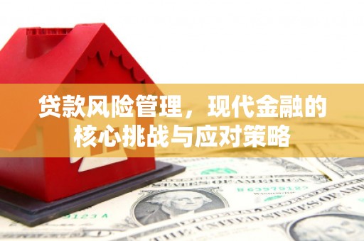 南华贷款风险管理，现代金融的核心挑战与应对策略