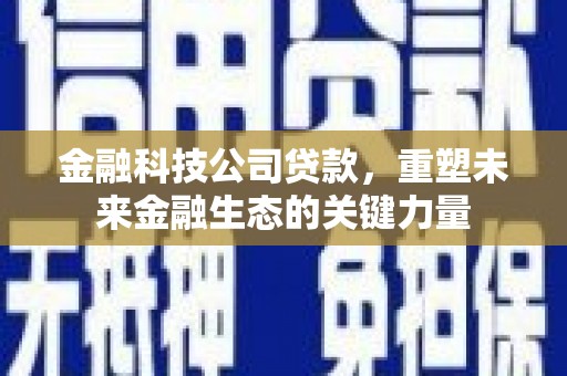 南华金融科技公司贷款，重塑未来金融生态的关键力量