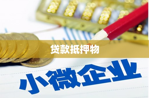 南华贷款抵押物