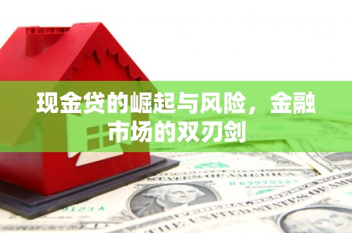 南华现金贷的崛起与风险，金融市场的双刃剑