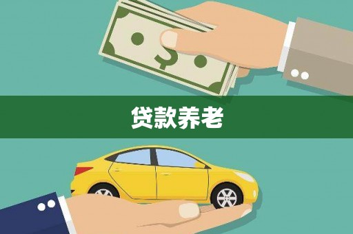 南华贷款养老