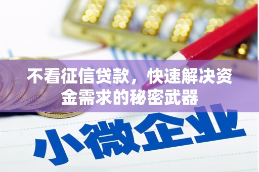 南华不看征信贷款，快速解决资金需求的秘密武器