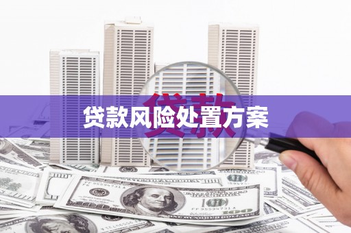 南华贷款风险处置方案