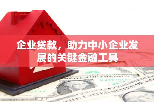 南华企业贷款，助力中小企业发展的关键金融工具