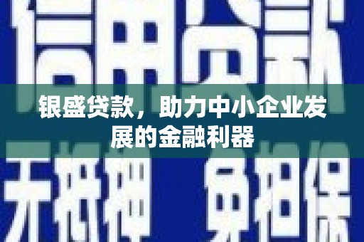 南华银盛贷款，助力中小企业发展的金融利器