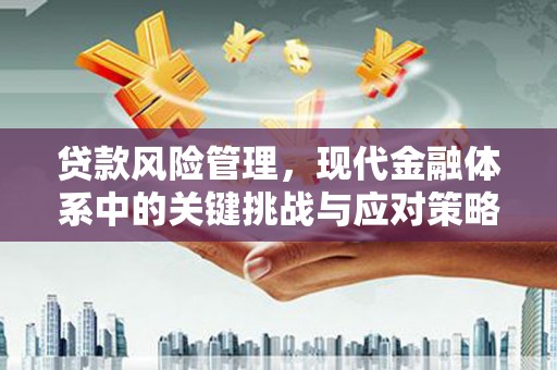 南华贷款风险管理，现代金融体系中的关键挑战与应对策略