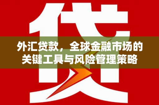 南华外汇贷款，全球金融市场的关键工具与风险管理策略
