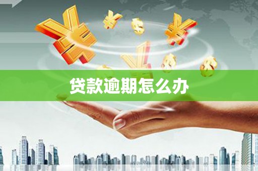 南华贷款逾期怎么办