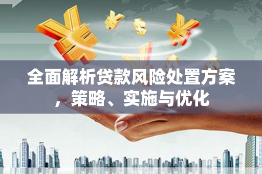 南华全面解析贷款风险处置方案，策略、实施与优化