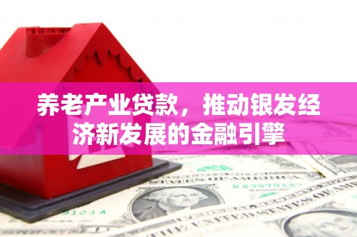 南华养老产业贷款，推动银发经济新发展的金融引擎