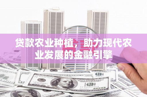 南华贷款农业种植，助力现代农业发展的金融引擎