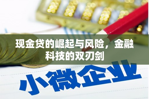 南华现金贷的崛起与风险，金融科技的双刃剑
