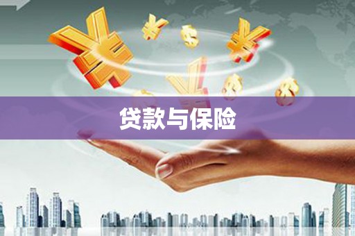 南华贷款与保险
