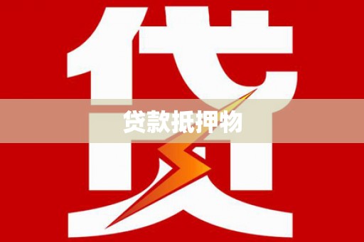 南华贷款抵押物