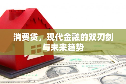 南华消费贷，现代金融的双刃剑与未来趋势