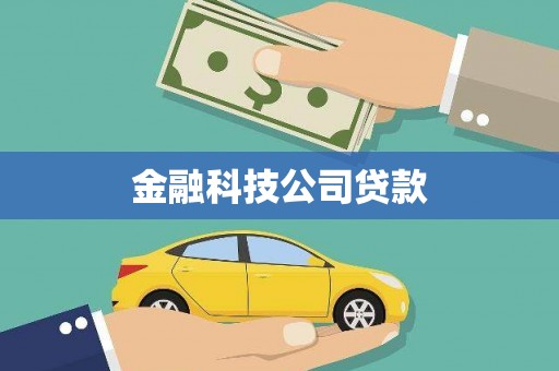 南华金融科技公司贷款
