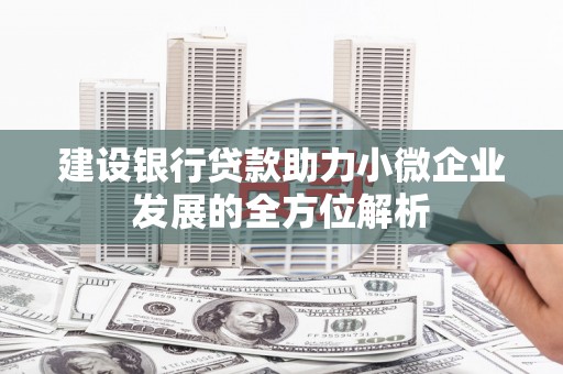 南华建设银行贷款助力小微企业发展的全方位解析