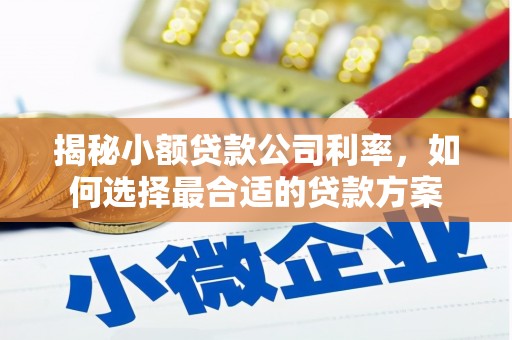 南华揭秘小额贷款公司利率，如何选择最合适的贷款方案