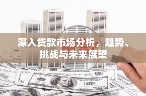南华深入贷款市场分析，趋势、挑战与未来展望