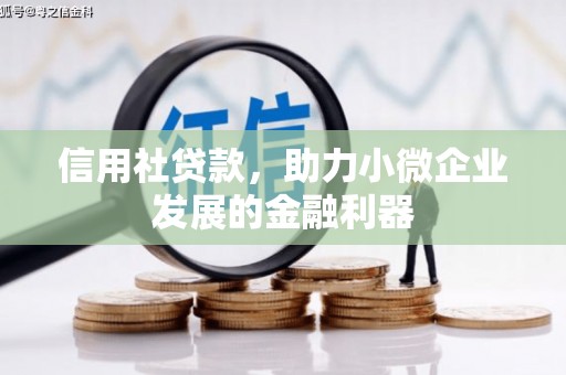 南华信用社贷款，助力小微企业发展的金融利器