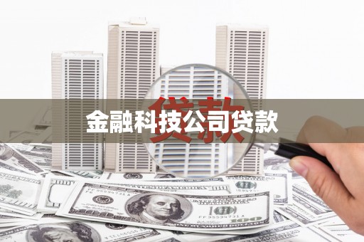 南华金融科技公司贷款