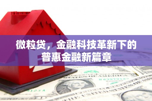 南华微粒贷，金融科技革新下的普惠金融新篇章