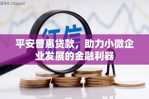 南华平安普惠贷款，助力小微企业发展的金融利器