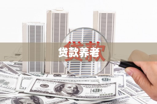 南华贷款养老