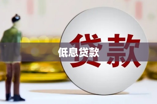 南华低息贷款
