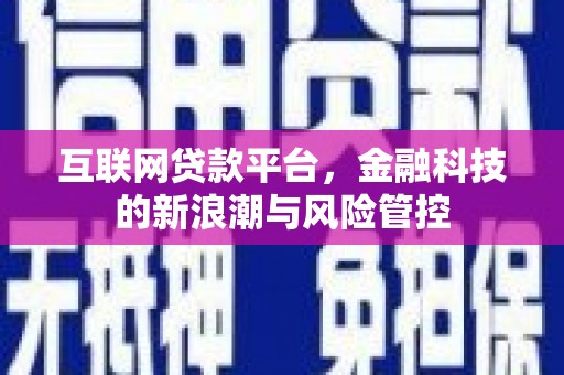 南华互联网贷款平台，金融科技的新浪潮与风险管控