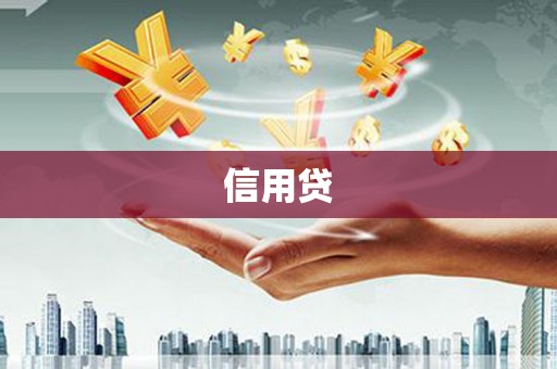 南华信用贷