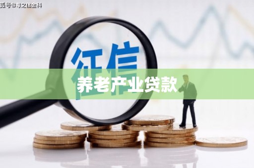 南华养老产业贷款