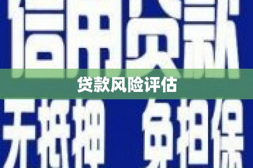 南华贷款风险评估