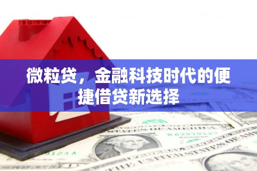 南华微粒贷，金融科技时代的便捷借贷新选择